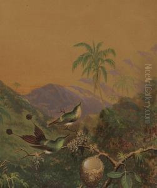 Brazilian Hummingbirds Ii by Martin Johnson Heade