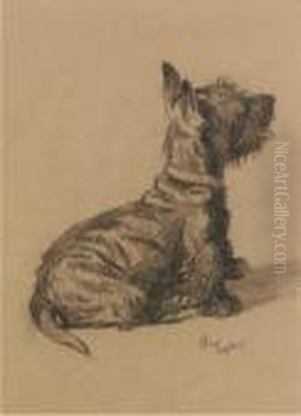 A Scottie Oil Painting - Cecil Charles Aldin