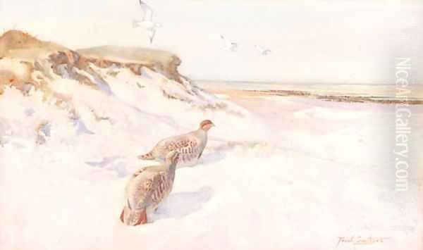 Partridges having a dust bath Oil Painting - Frank Southgate