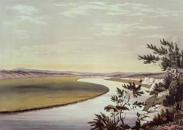 The River Murray, Near Lake Alexandrina, Australia Oil Painting - George French Angas