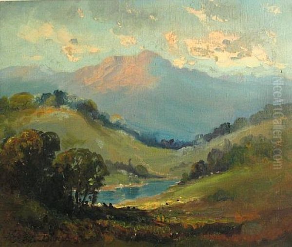 Rose Tint In Early Morning, St. Helena Oil Painting - Tilden Daken