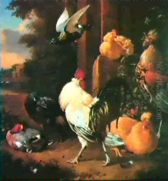 Poultry, Ducks And A Pigeon Inan Ornamental Park Oil Painting - Melchior de Hondecoeter