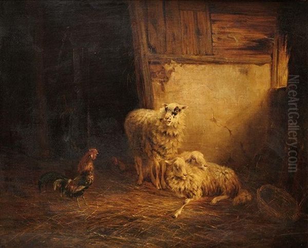 Brebis Et Coq by August Knip