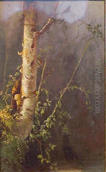 Birch Study Oil Painting - Julie Hart Beers