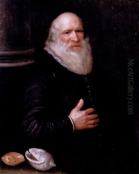 Portrait Of A Bearded Gentleman Before A Column Beside Two Shells, Wearing A Black Jacket by Michiel Janszoon van Mierevelt