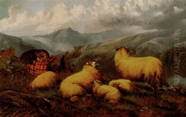 Highland Sheep Oil Painting - John W. Morris