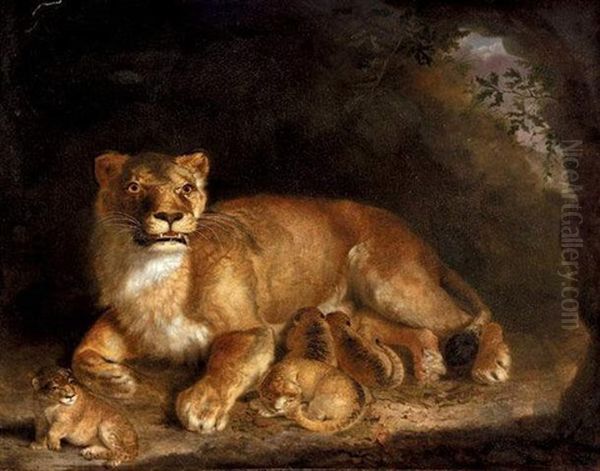 A Lioness With Her Cubs Oil Painting - James (Thomas J.) Northcote