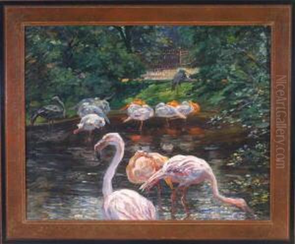 Flamingos Im Munchener Tierpark Hellabrunn Oil Painting - Heinrich Schutz