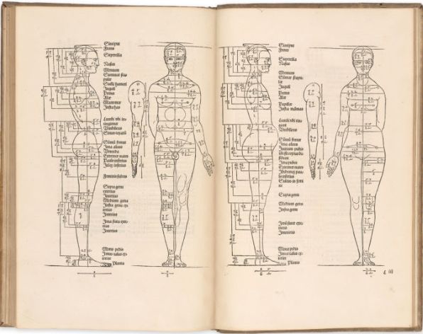 Illustrations from Dürer's "Four Books on Human Proportion"