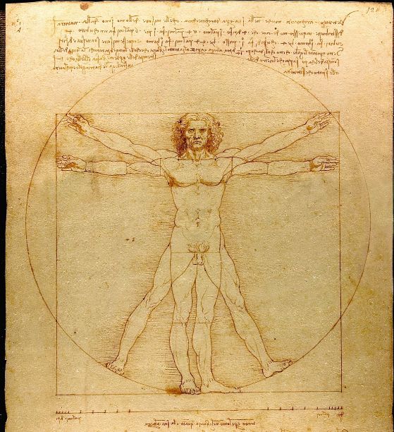 Vitruvian Man by Leonardo da Vinci