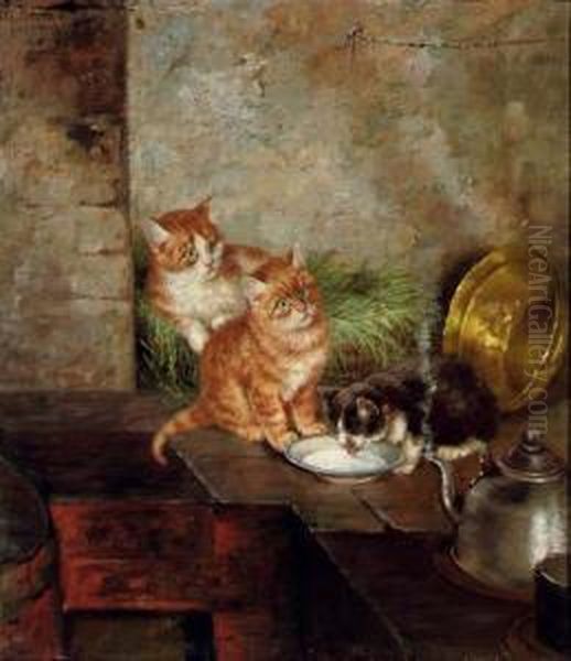 Three Cats In The Kitchen by Minna Stocks