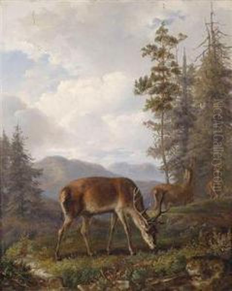 Grazing Red Deer In A Clearing by Karl Wilhelm Tornau