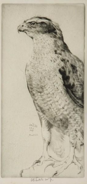 Cock Grouse by Henry Emerson Tuttle