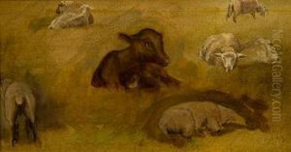 Study Of Sheep by Ernest Albert Waterlow