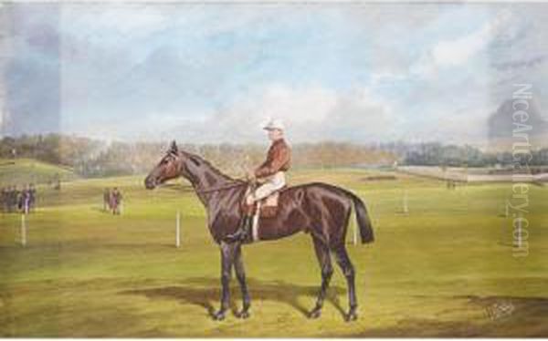 Bay Racehorse With Jockey Up by Jonny Audy