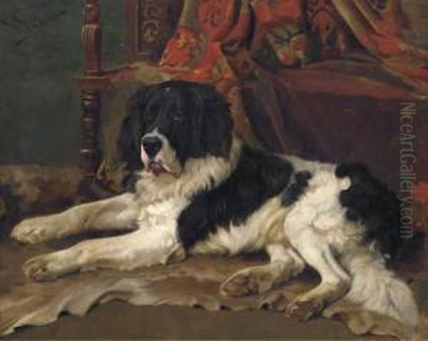 A Landseer Newfoundland In An Interior by Wright Barker