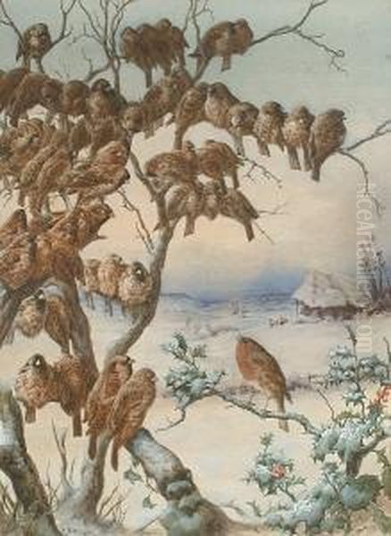 A Flock Of Sparrows And A Robin Perched On A Holy Branch, A Winter Landscape Beyond by Harry Bright