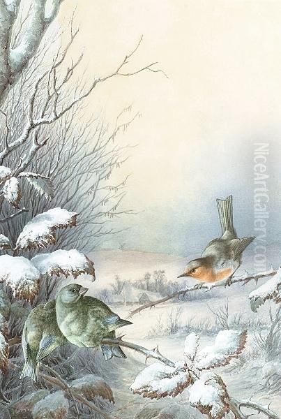 A Robin And A Greenfinches In A Snowy Hedgerow, A Winter Landscape Beyond by Harry Bright