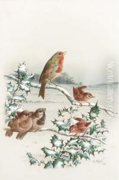 Finches; And Robins by Harry Bright