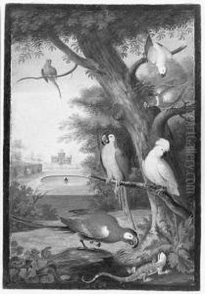 Parrots And A Lizard In A Palatial Garden by Johannes Bronkhorst