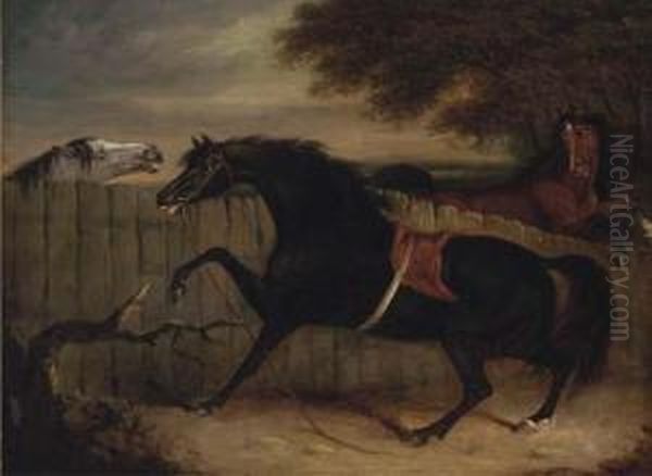 The Stallion Smolensko With A Grey Mare And Another Horse By Afence by Henry Bernard Chalon