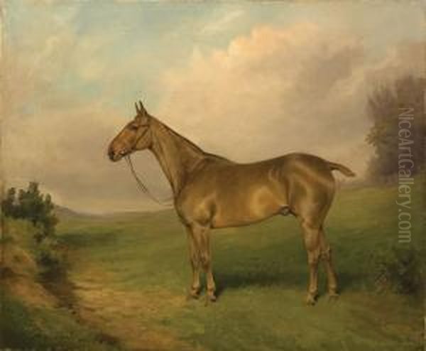 Cavallo Nel Paesaggio by Percy Earl