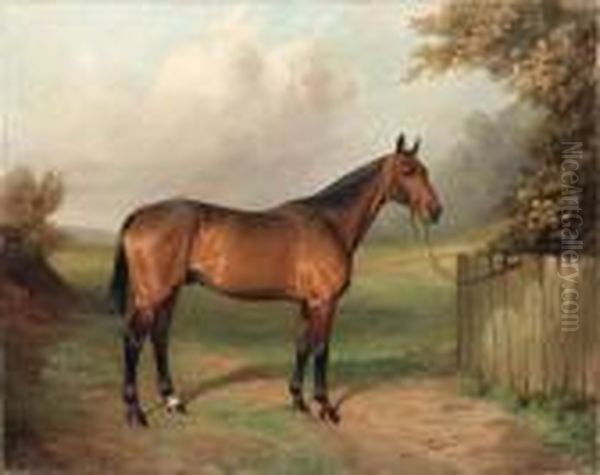 Jason, A Horse By A Gate by Percy Earl