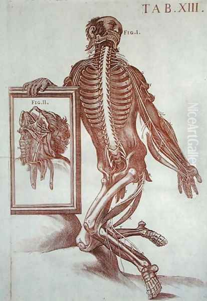 Anatomical figure, from Tabulae Anatomicae, Rome, 1788 by Pietro Da Cortona (Barrettini)