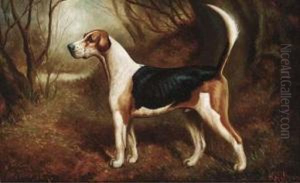 A Favourite Beagle by Herbert Jones