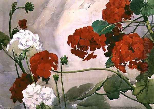 Red and White Geraniums by Richard E. Clarke