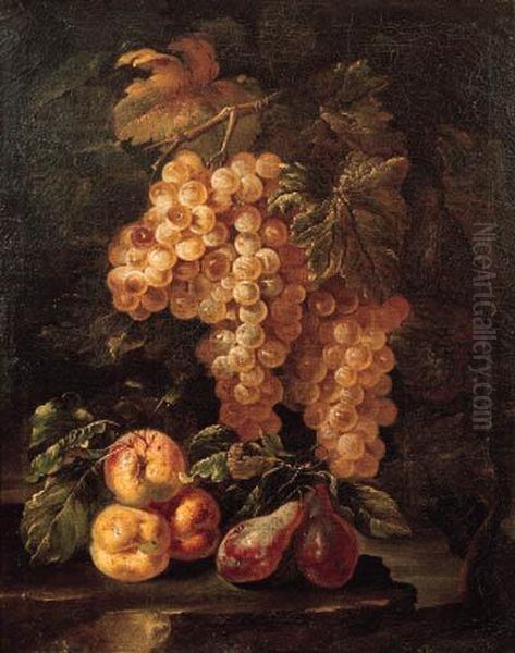 Bunches Of Grapes Hanging From A Vine With Peaches And Plums On Arock by Giovanni Paolo Castelli Spadino