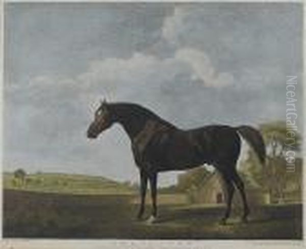 Protector (lennox-boyd 102) by George Stubbs