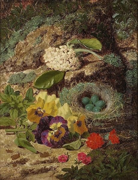 Still Life Of Bird's Nest And Flowers On A Mossy Bank by Thomas Worsey