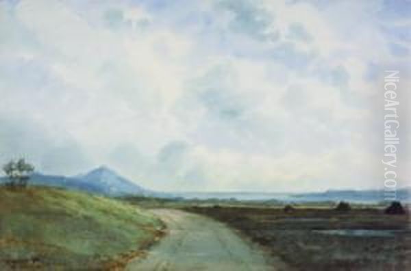 The Road To Leenane, Connemara by Douglas Alexander