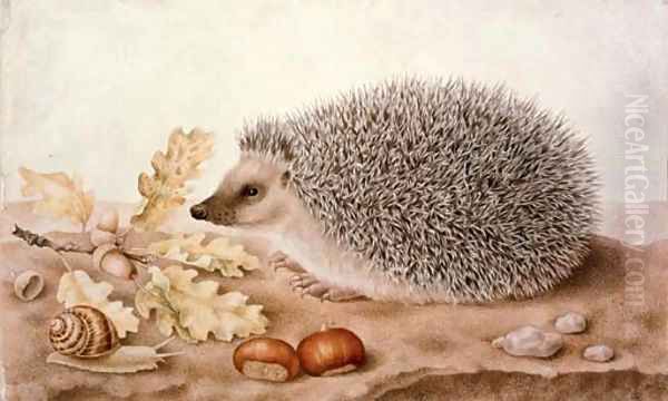 A hedgehog in a landscape by Giovanna Garzoni