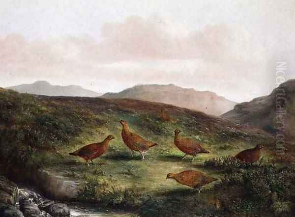 Grouse in a Moorland landscape by Tom Hold