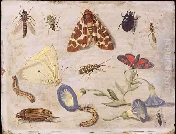 Insects 7 by Jan van Kessel