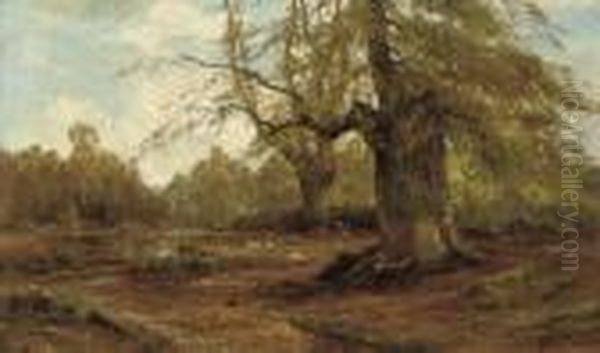 Burnham Beeches, Autumn by Alfred de Breanski