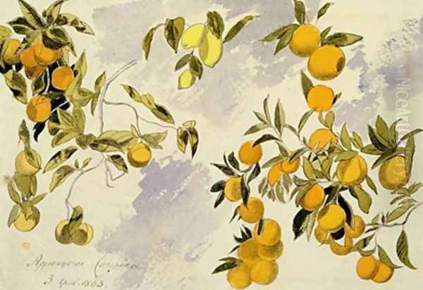 Orange Trees by Edward Lear