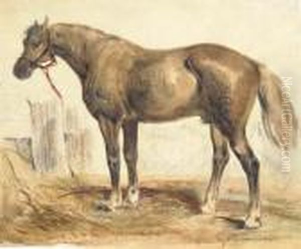 A Bay Stallion In Profile To The Right by Eugene Delacroix