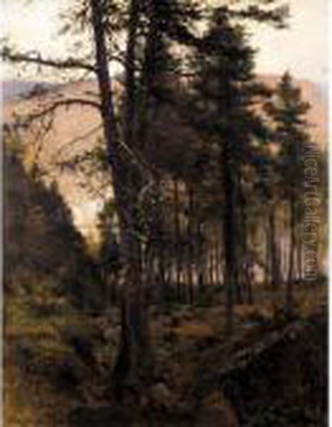 Fir Trees In The Glen by Joseph Farquharson