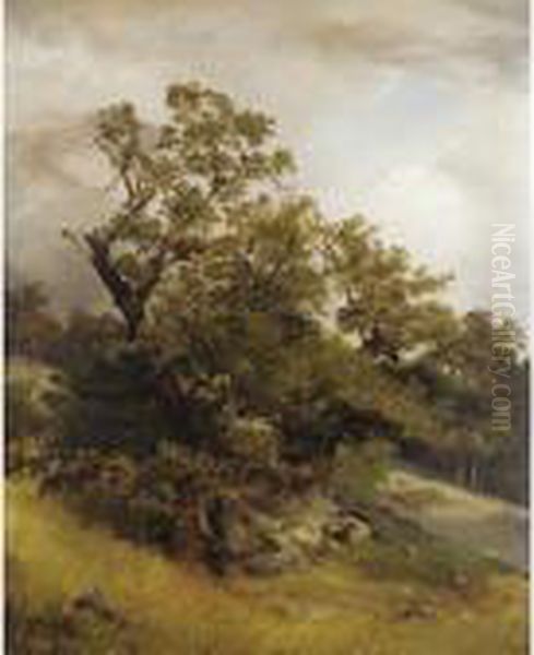 Baume Am Hang (trees On A Hillside) by Friedrich Gauermann