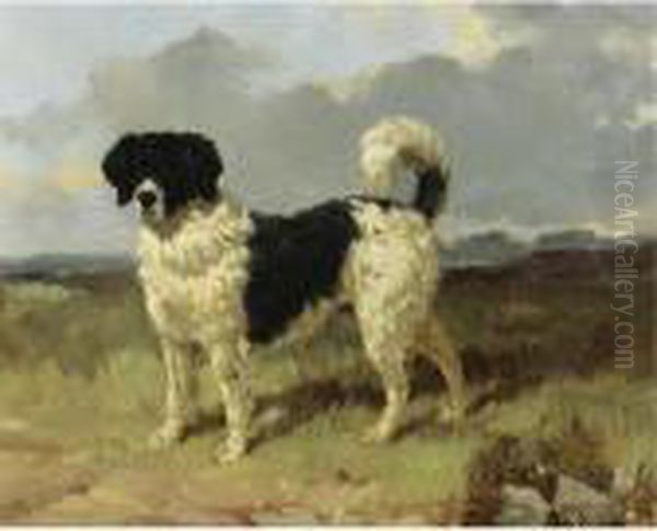 A Newfoundland Landseer In A Landscape by Harry Hall