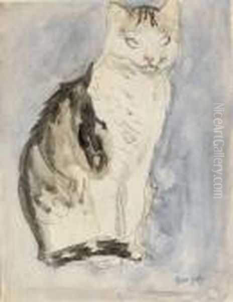 Study Of A Cat by Gwendolen John