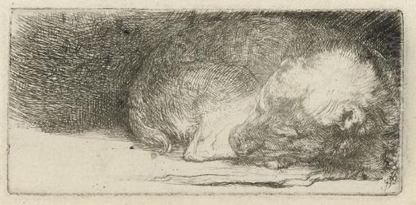 A Sleeping Puppy (b., Holl. 158; H. 174) by Rembrandt Van Rijn