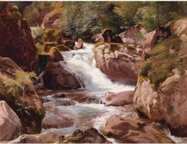 A View Of Waterfalls by Johann Gottfried Steffan