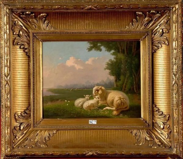 Moutons Couches Au Pre by Louis Verboeckhoven