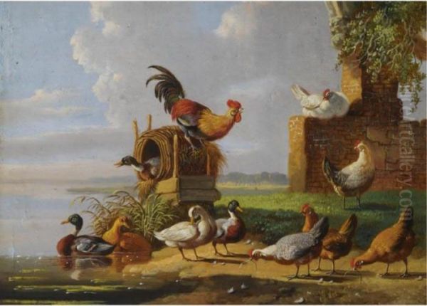 Poultry On The Waterfront by Albertus Verhoesen