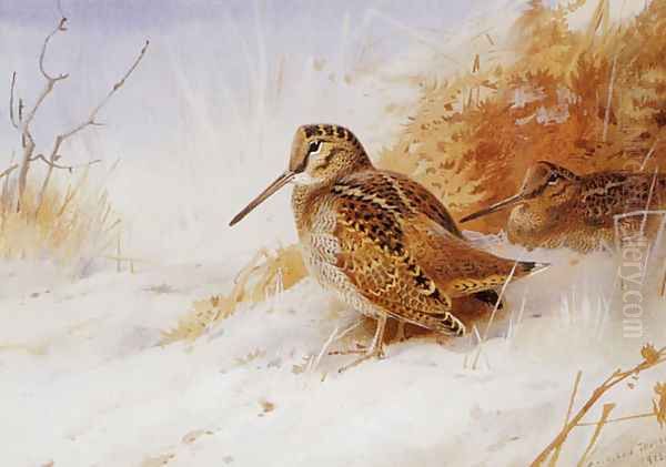 Winter Woodcock by Archibald Thorburn