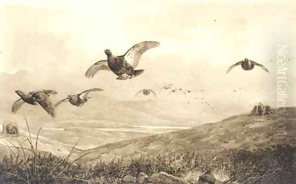 On the grouse moor by Archibald Thorburn